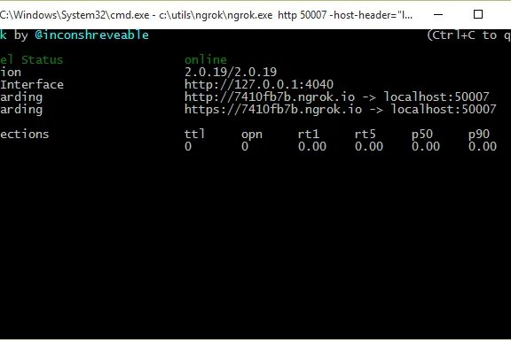 Exposing and testing your local web solutions online using NGrok